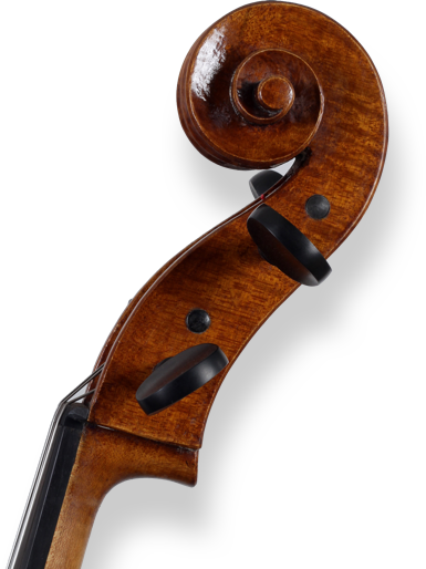 presentazione servizio di noleggio